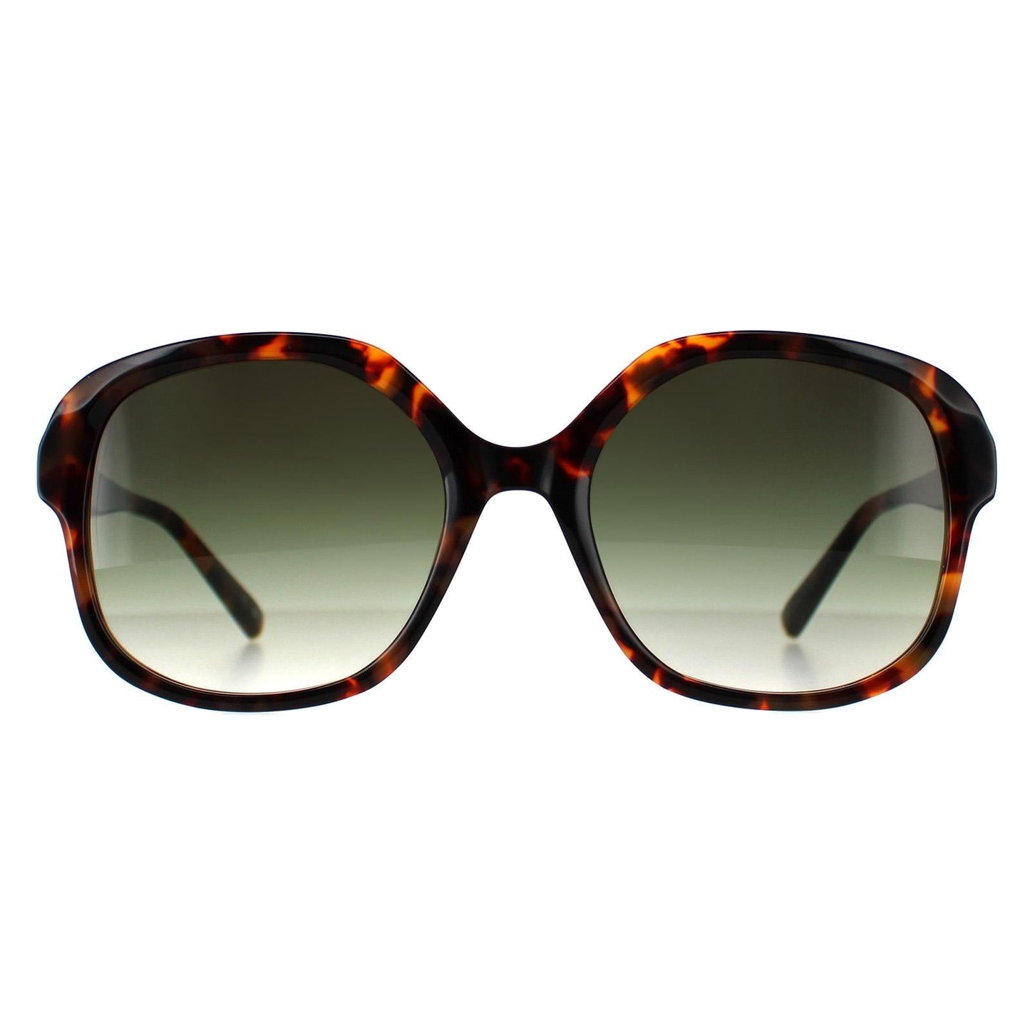 Ted Baker Sunglasses TB1685 267 55