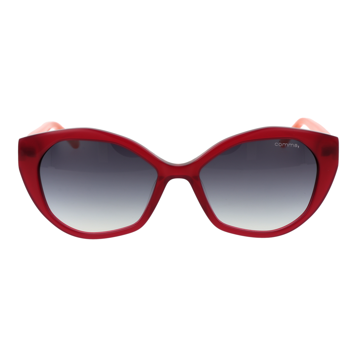 https://cdn.blue-berry.eu/files/products/4251239617323_01.png