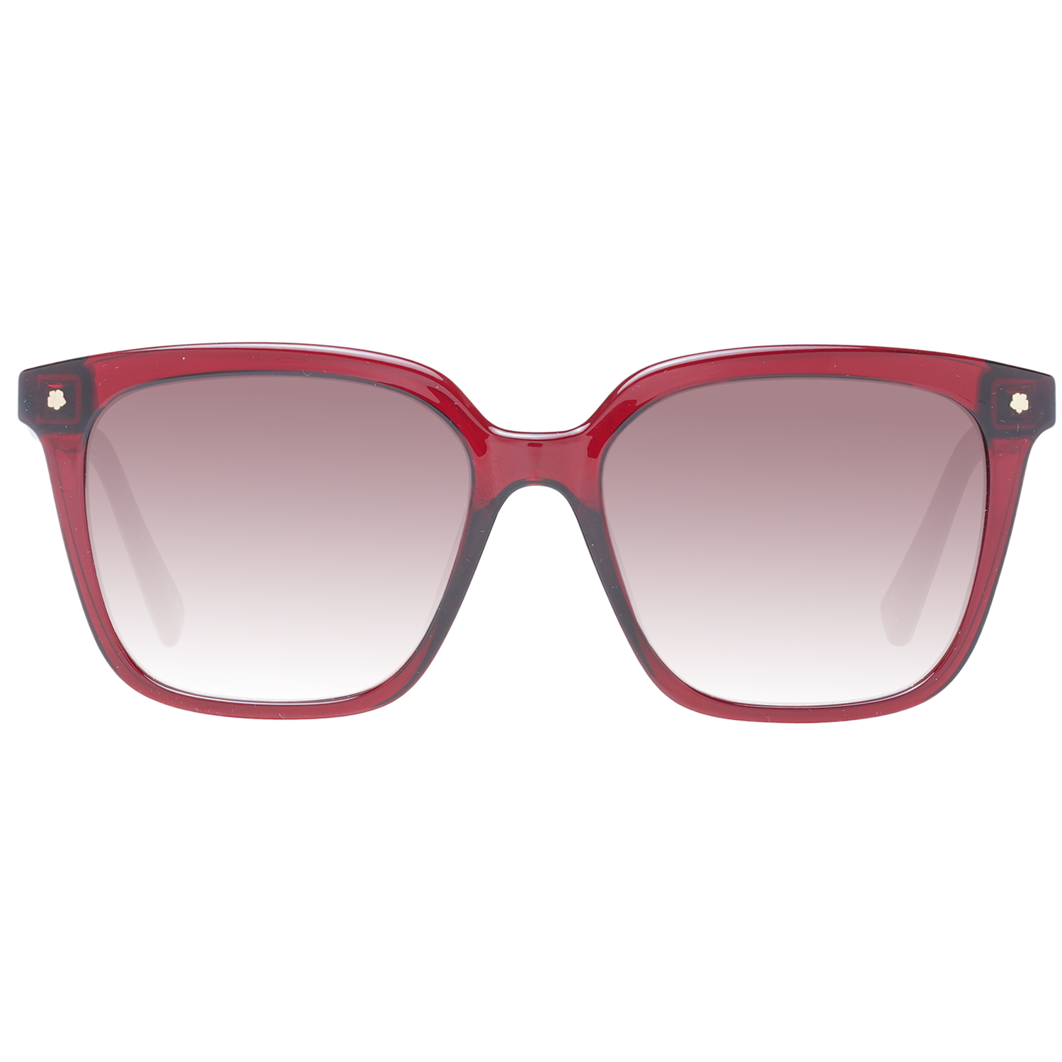 Ted Baker Zonnebril TB1676 249 53