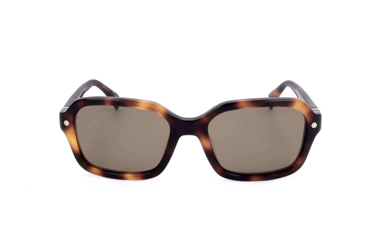 Ted Baker Sunglasses TB1697 101 55