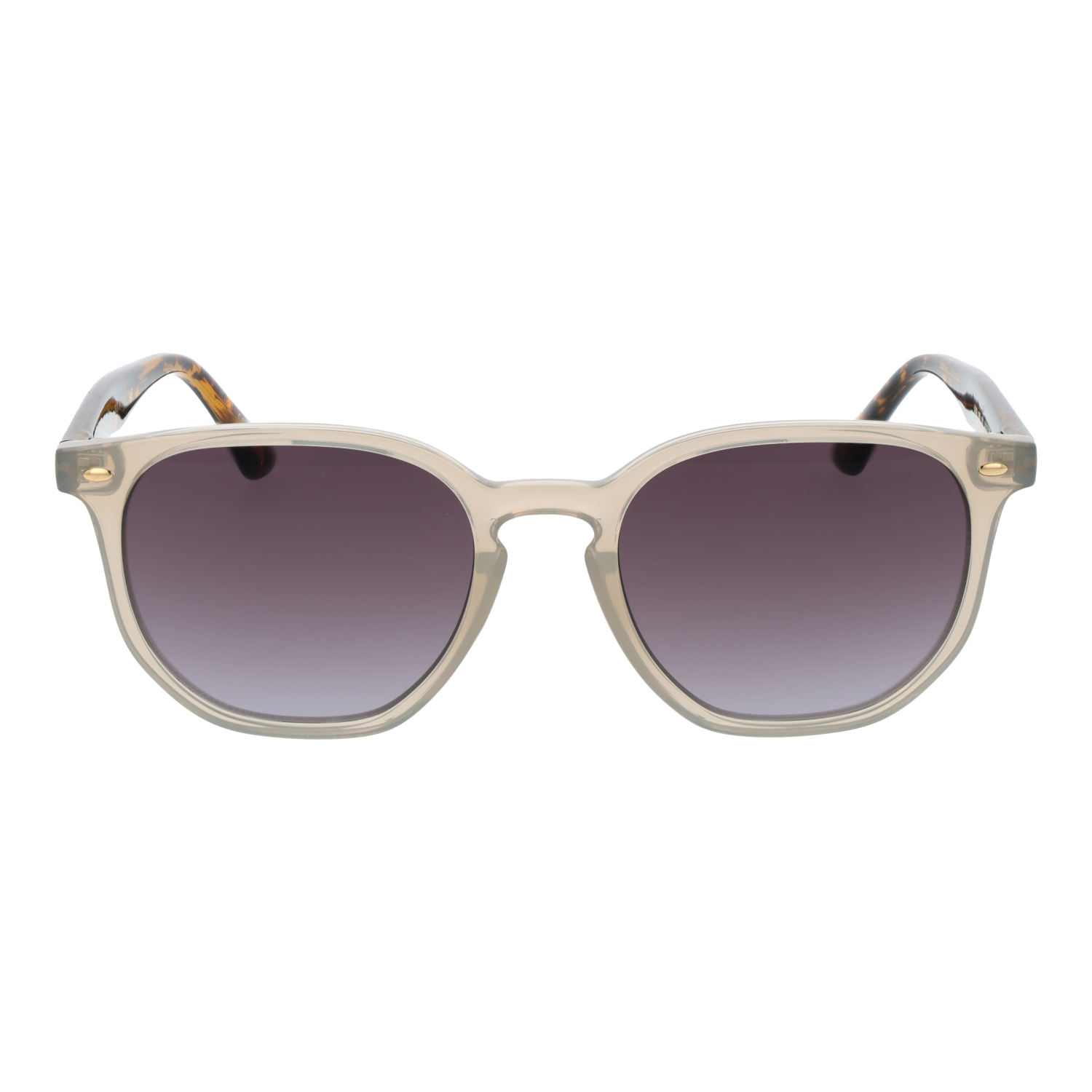 Ted Baker Zonnebril TB1655 901 52