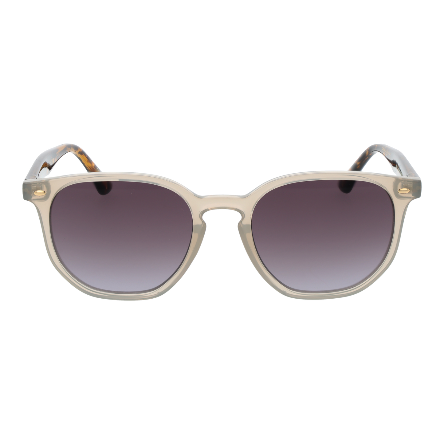 Ted Baker Zonnebril TB1655 901 52