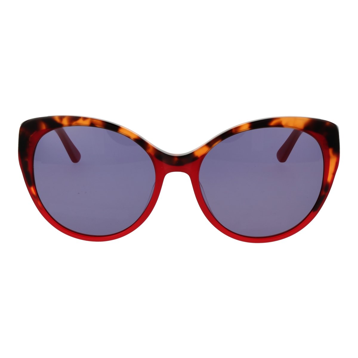 https://cdn.blue-berry.eu/files/products/8029224900363_01.png