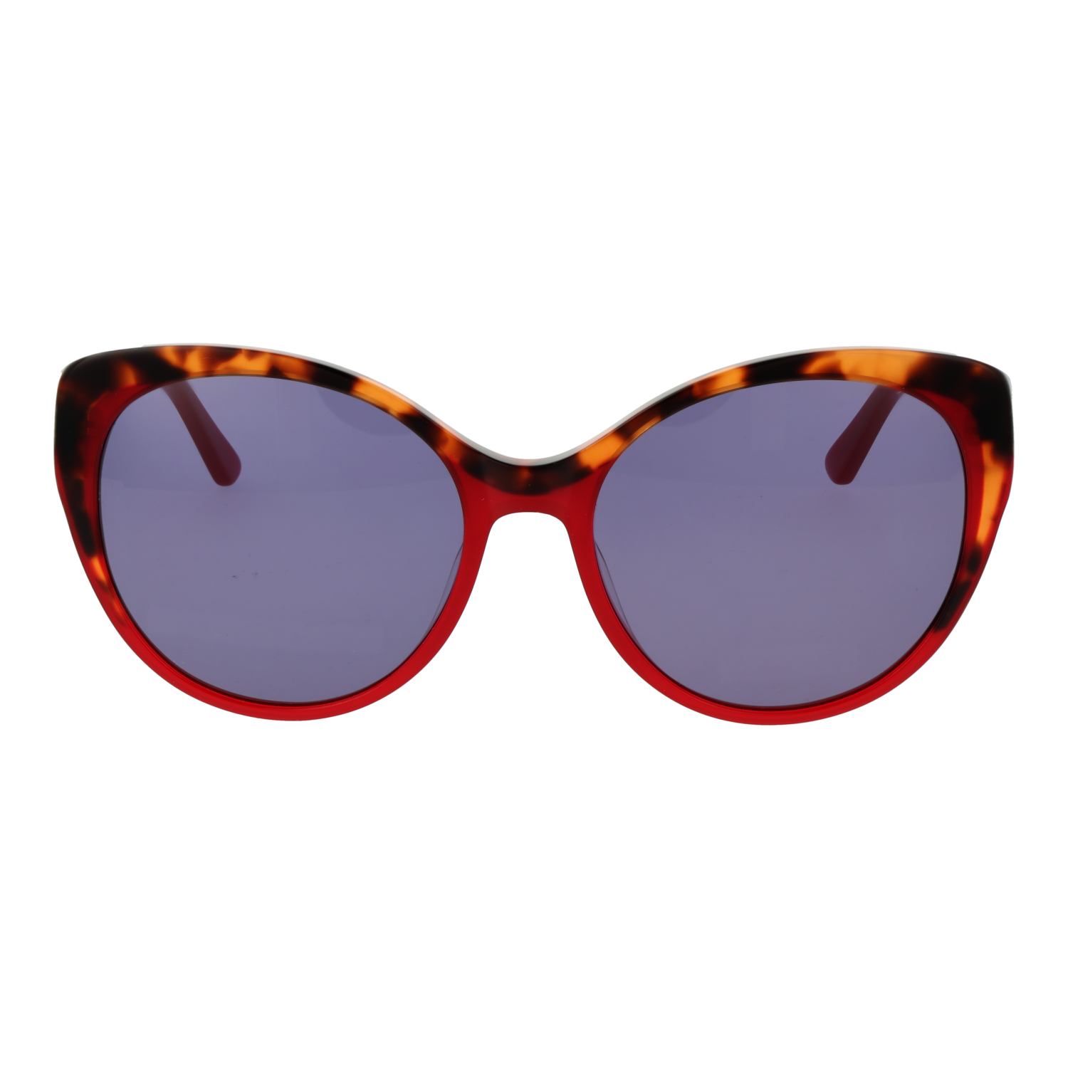 https://cdn.blue-berry.eu/files/products/8029224900363_01.png