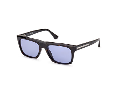 Web Sunglasses WE0350 56V 55