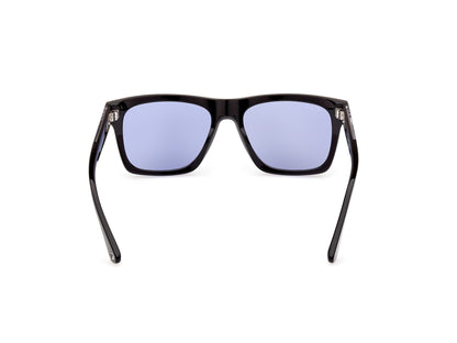 Web Sunglasses WE0350 56V 55