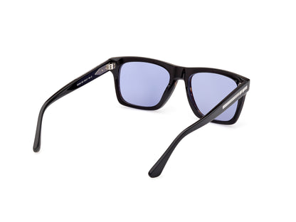 Web Sunglasses WE0350 56V 55