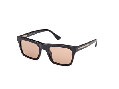 Web Sunglasses WE0362 05J 52