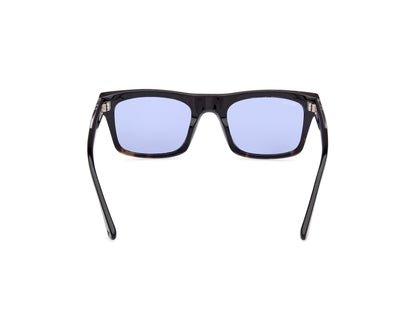 Web Sunglasses WE0362 56V 52