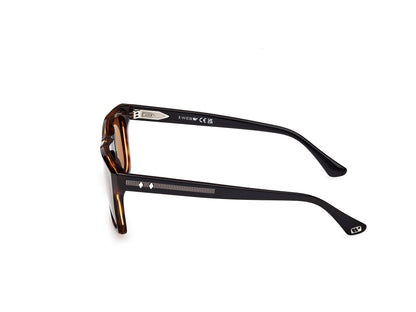 Web Sunglasses WE0350 55E 55