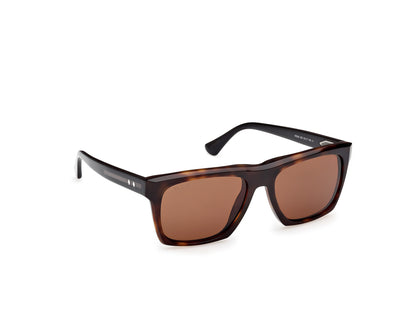 Web Sunglasses WE0350 55E 55
